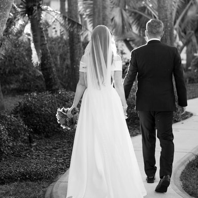 Paul Roub - No Flowers