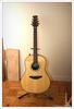 the guitar so far